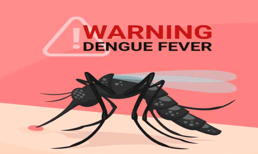 Dengue fever,