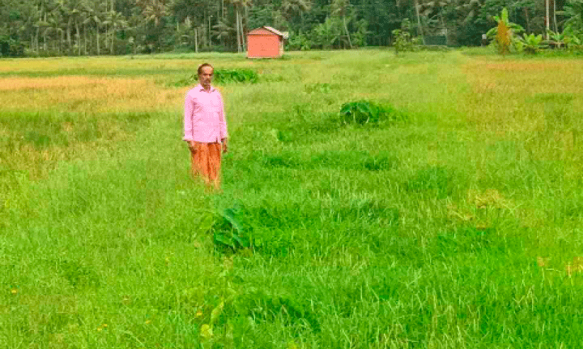 Farmers are unable to plant due to fear of destruction