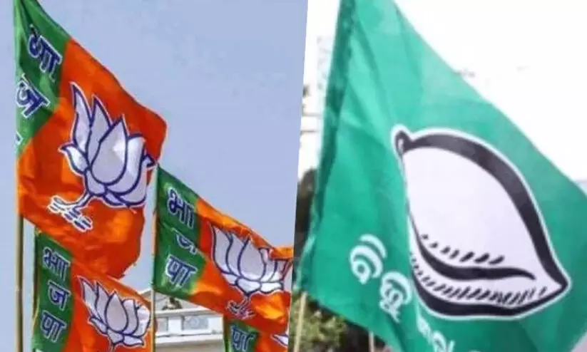 bjd-bjp