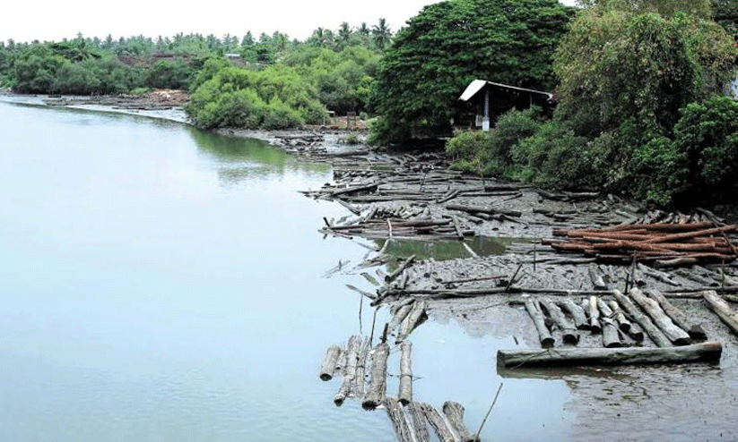 kallayi river