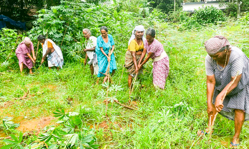 agriculture sector