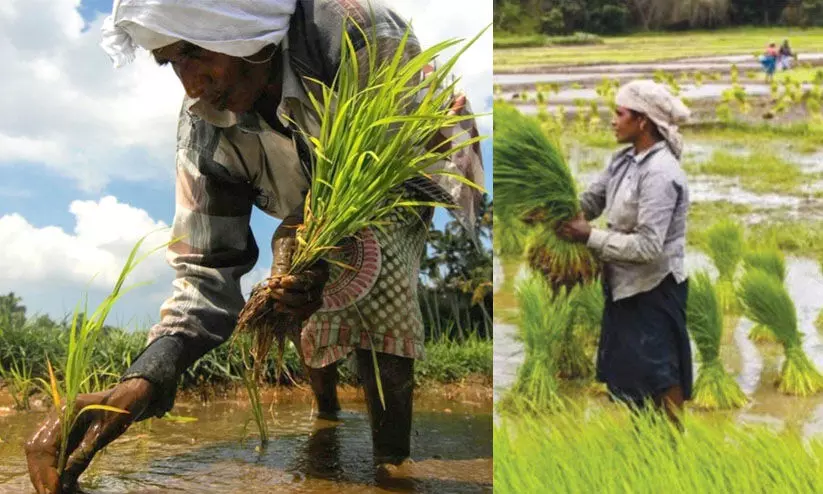 10 ലക്ഷം സ്വകാര്യ അക്കൗണ്ടിലേക്ക് മാറ്റിയ കൃഷി ഡയറക്ടറേറ്റിലെ ഉദ്യോഗസ്ഥർക്കെതിരെ നടപടി വേണമെന്ന് റിപ്പോർട്ട്