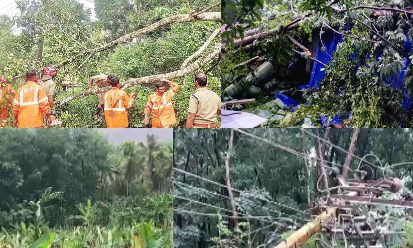 മഴയിലും കാറ്റിലും കെ.എസ്.ഇ.ബിക്ക് പ്രാഥമിക കണക്കുകള്‍‍ പ്രകാരം 48 കോടിയുടെ നാശനഷ്ടം