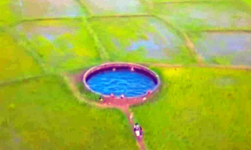 The green well goes viral again