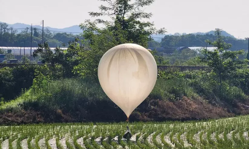 n korea balloon 09988