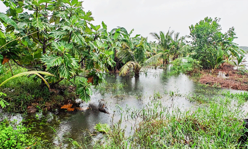 waterlogging