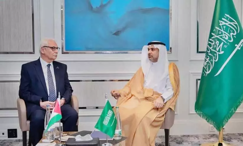 Saudi, Palestine Health Ministers Meeting