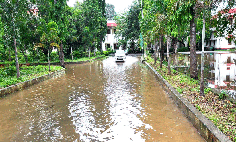 Rainy season,