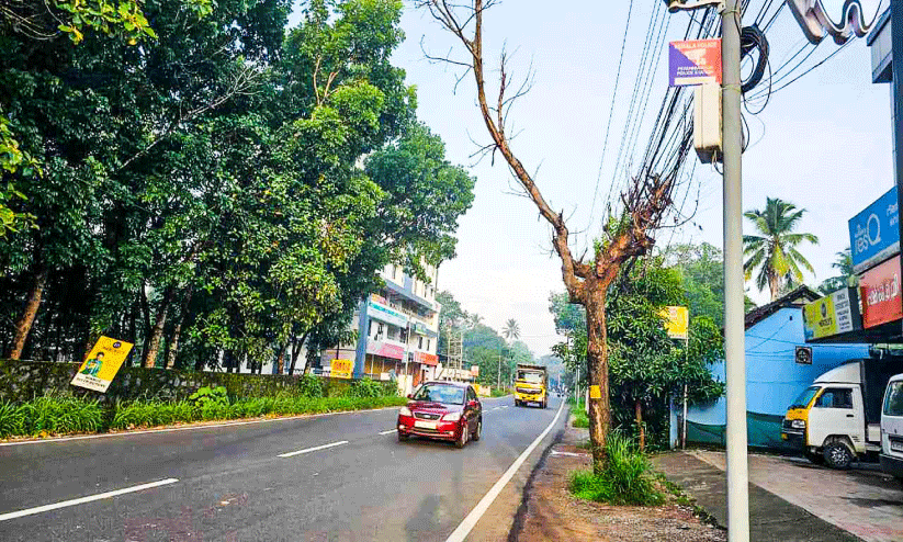 യാത്രക്കാര്‍ക്ക് ഭീഷണിയായി റോഡരികിലെ മരം