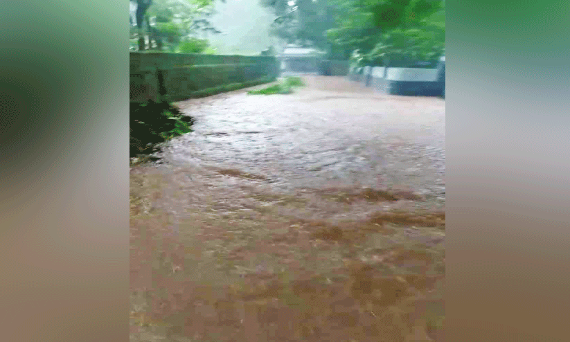 മാ​ലി​ന്യം നി​റ​ഞ്ഞ ആ​ലും​കു​ളം നാ​ടി​ന് ത​ല​വേ​ദ​ന