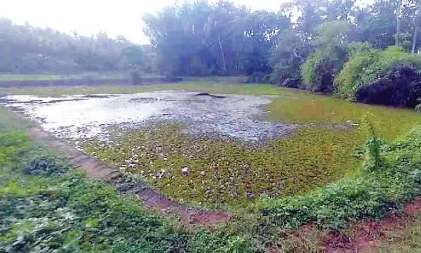 ഫണ്ട് അനുവദിച്ചിട്ടും നടപടിയില്ല;നവീകരണം കാത്ത്   അകതിയൂർ കലവർണക്കുളം