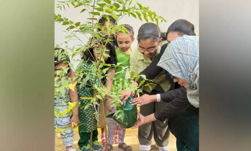 Planting seedlings