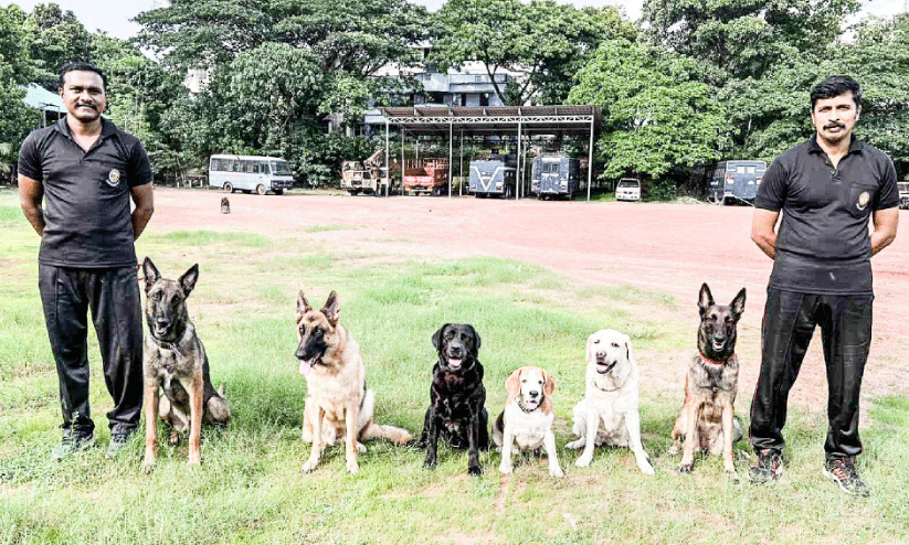 Dog squad,