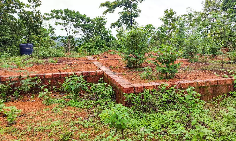 അവശേഷിക്കുന്നത് നിതിന്റെ വീടെന്ന സ്വപ്നം