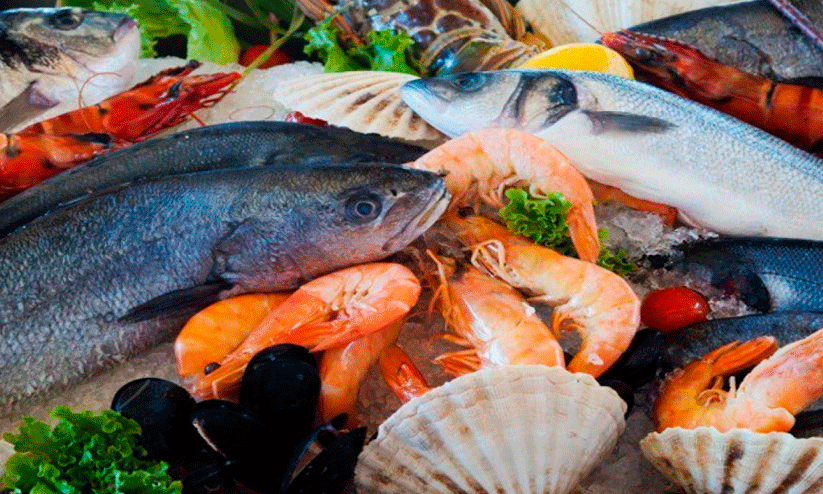 Seafood exports,