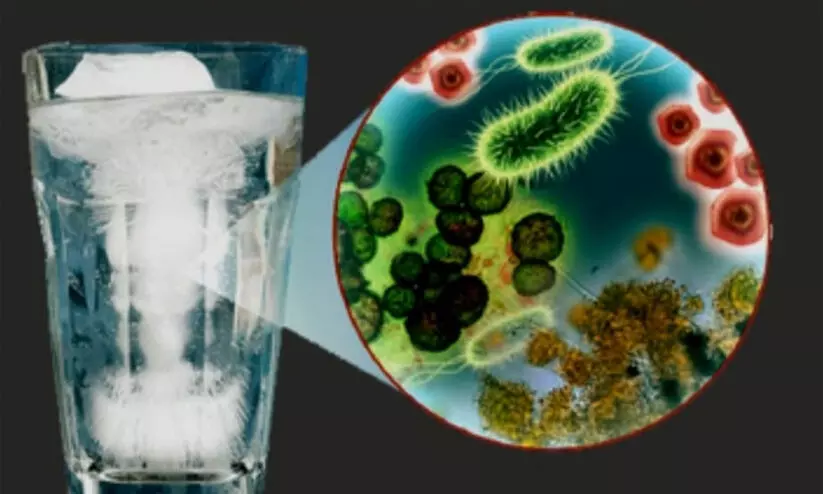 Coliform bacteria