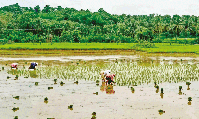 farming