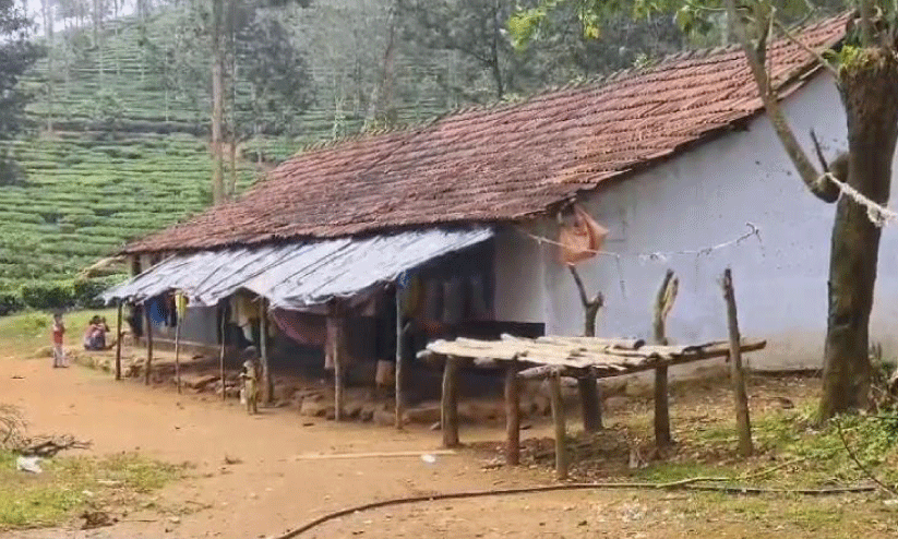 പാ​ടി