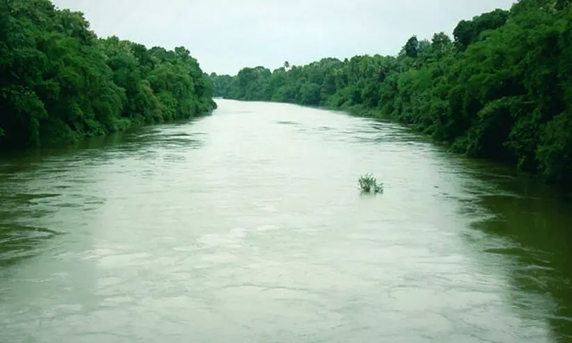 Manimala River