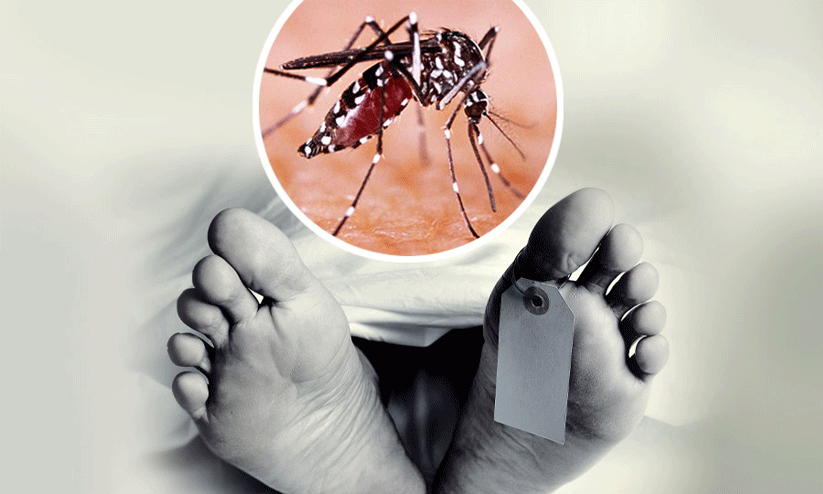 Dengue death