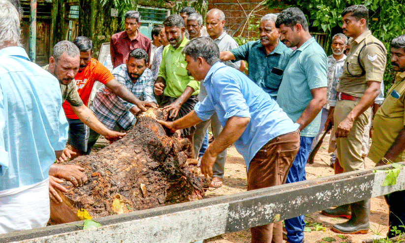 pachalam