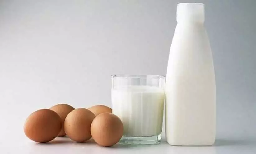 egg and milk