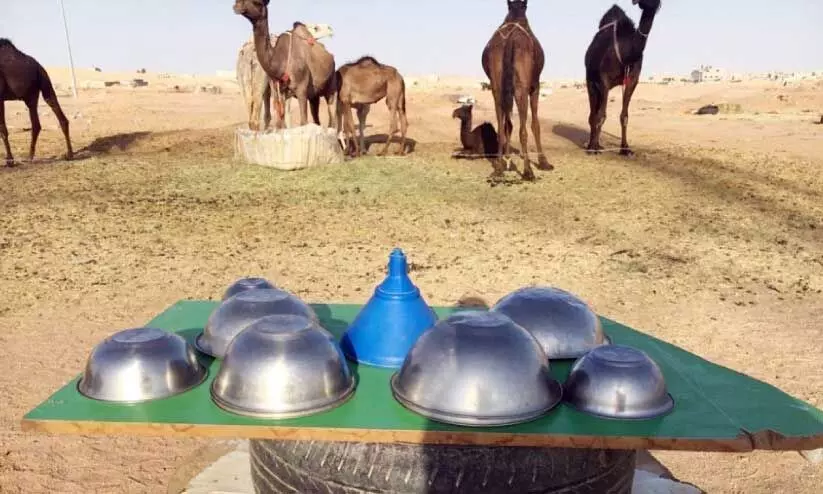 Unauthorized camel milk sale