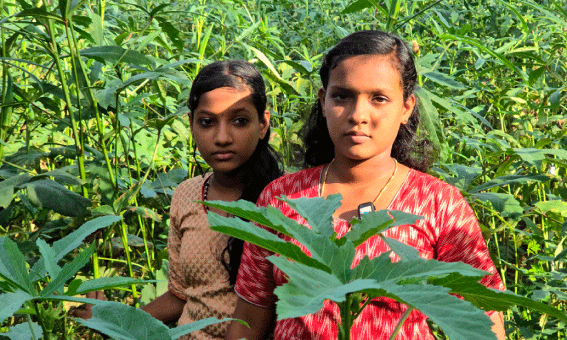 പ്രാണനാണ്​ ചിന്മയിക്ക്​ കൃഷി