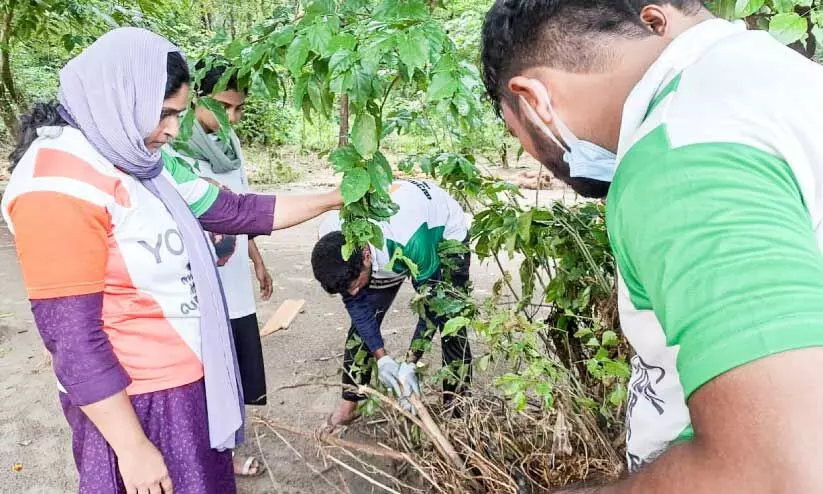 ചാ​ലി​യാ​ർ തീ​ര​ത്ത് തി​ര​ച്ചി​ൽ ന​ട​ത്താ​നെ​ത്തി​യ വ​നി​ത​ക​ൾ