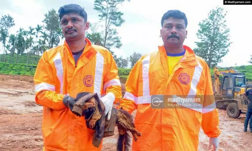 ആദ്യത്തെ ഫോൺകാള്‍ മുതൽ രക്ഷാകരം നീട്ടി അഗ്നിരക്ഷാ സേന; ദു​ര​ന്ത​മു​ഖ​ത്ത് ഏ​ഴാം ദി​വ​സ​വും 600 സേനാംഗങ്ങൾ