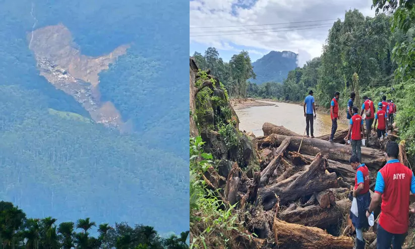 വയനാട് ദുരന്തം: നഷ്ടപ്പെട്ട വനസമ്പത്ത് കണക്കെടുപ്പ് അടുത്ത ആഴ്ച