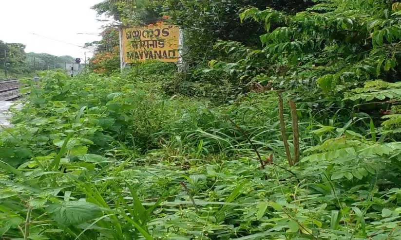 പ്ലാറ്റ്​ഫോം കാടു​കയറി; ഇഴജന്തുക്കളെ പേടിച്ച്  യാത്രക്കാർ