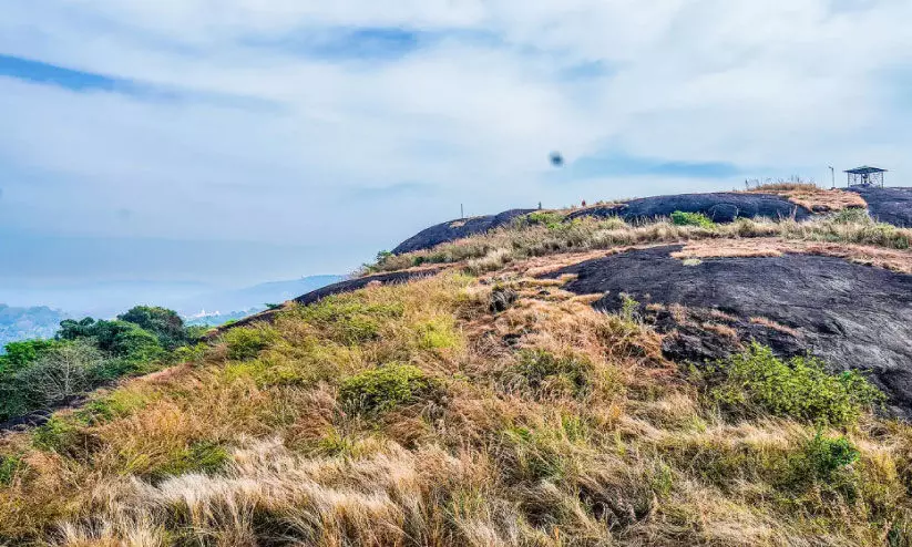 ചു​ട്ടി​പ്പാ​റ ടൂ​റി​സം കേ​ന്ദ്രം