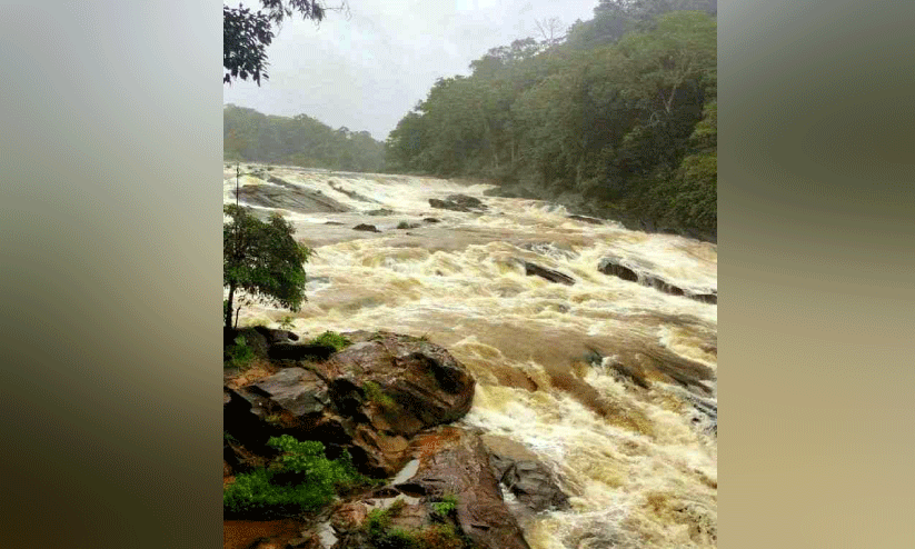 മഴ: പെരിങ്ങൽക്കുത്ത് ഡാം തുറന്നു