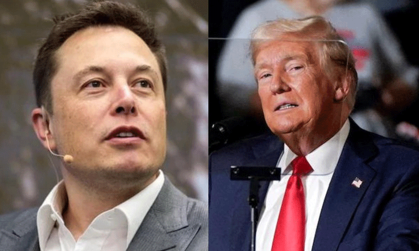 trump and musk