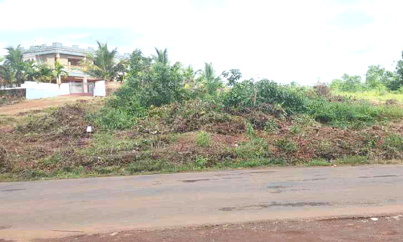 സ​ർ​ക്കാ​ർ​ഭൂ​മി കൈ​യേ​റി​യ​താ​യി പ​രാ​തി