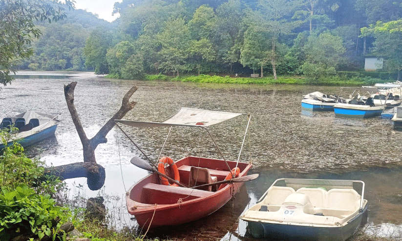 Pookode Lake