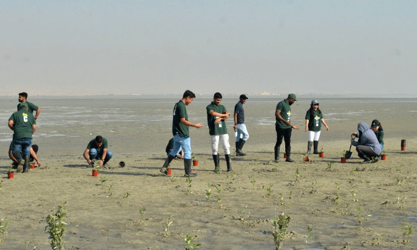 planting trees