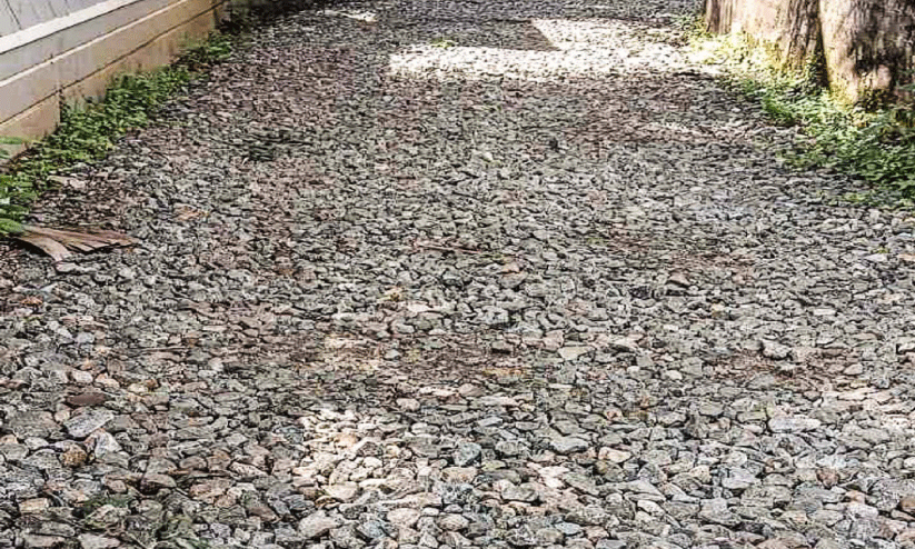 അരമുറി - വാഴശേരി റോഡിൽ കാൽനട പോലും ദുഷ്കരം