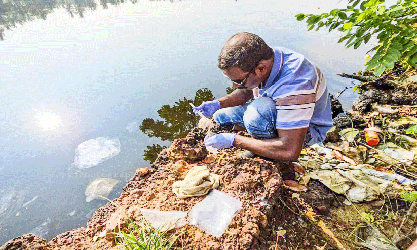 അഷ്ടമുടിക്കായലിൽ മത്സ്യങ്ങൾ ചത്തുപൊങ്ങിയതിൽ പരിശോധന