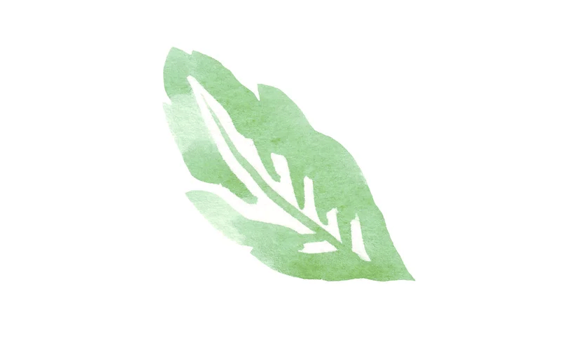 leaf