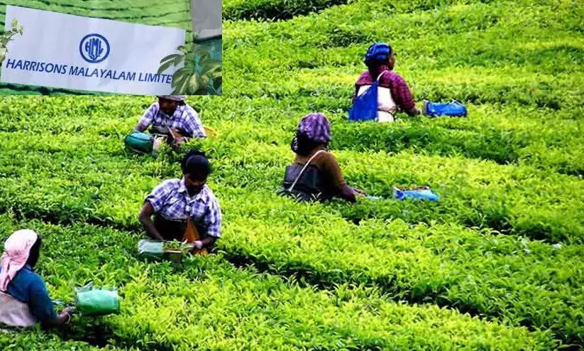 വയനാട് ദുരന്തം: പുനരധിവാസം അട്ടിമറിക്കുന്നതിനെതിരെ എച്ച്.എം.എൽ ഓഫീസിലേക്ക് ബഹുജന മാർച്ച്