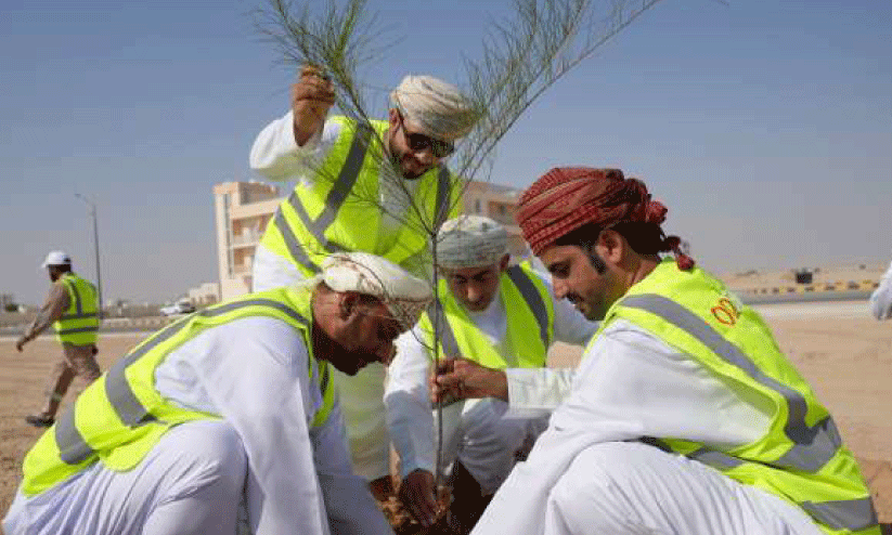 planting