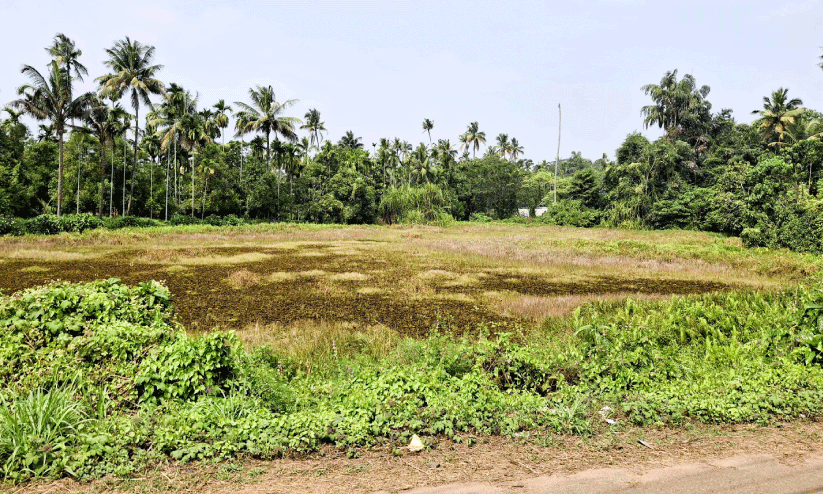 അവഗണനയുടെ ചങ്ങലയിൽ ചങ്ങലച്ചിറ