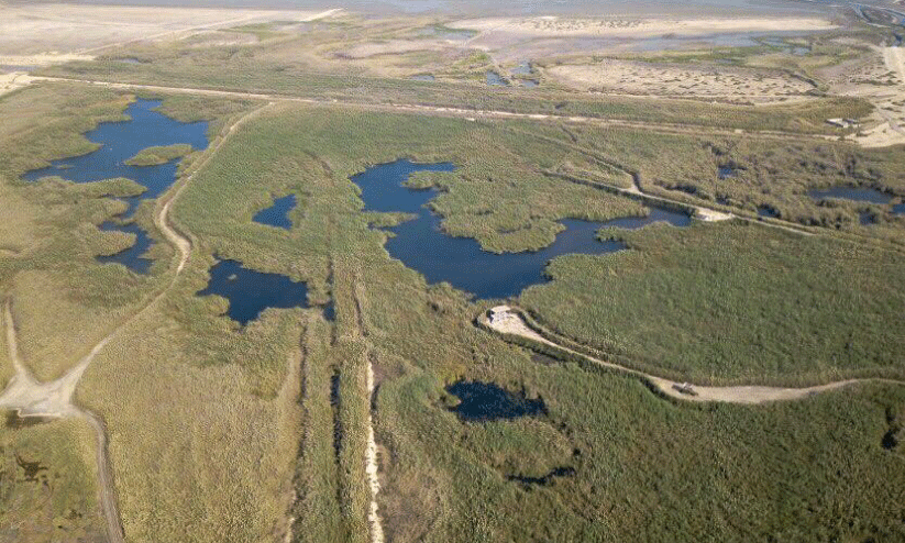 Jahra Nature Reserve