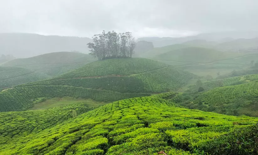 Munnar Climate