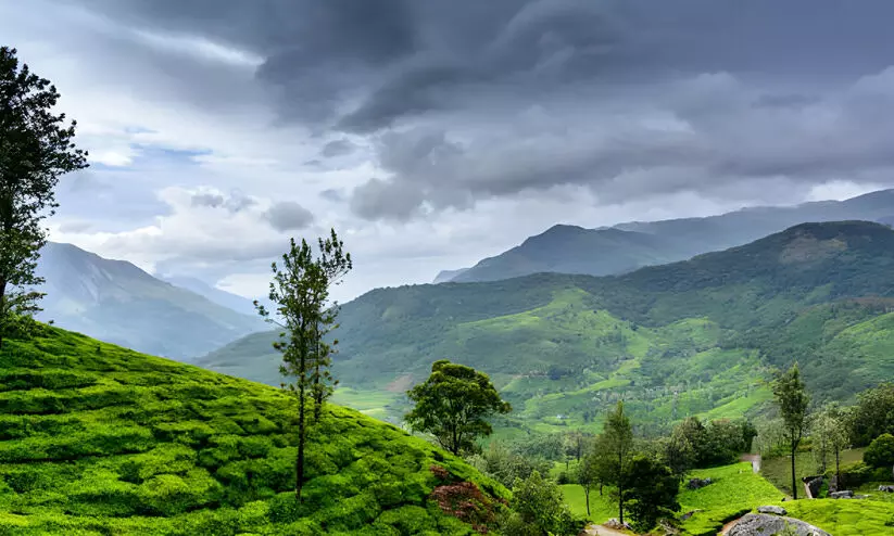 വയനാട്ടിൽ ഏഴു റിസോർട്ടുകൾ പൊളിച്ചുനീക്കാൻ ഉത്തരവ്