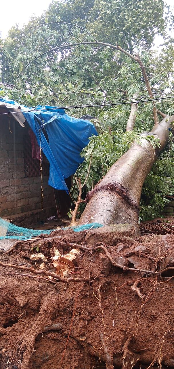 വീടുകൾക്ക്​ നാശനഷ്​ടം