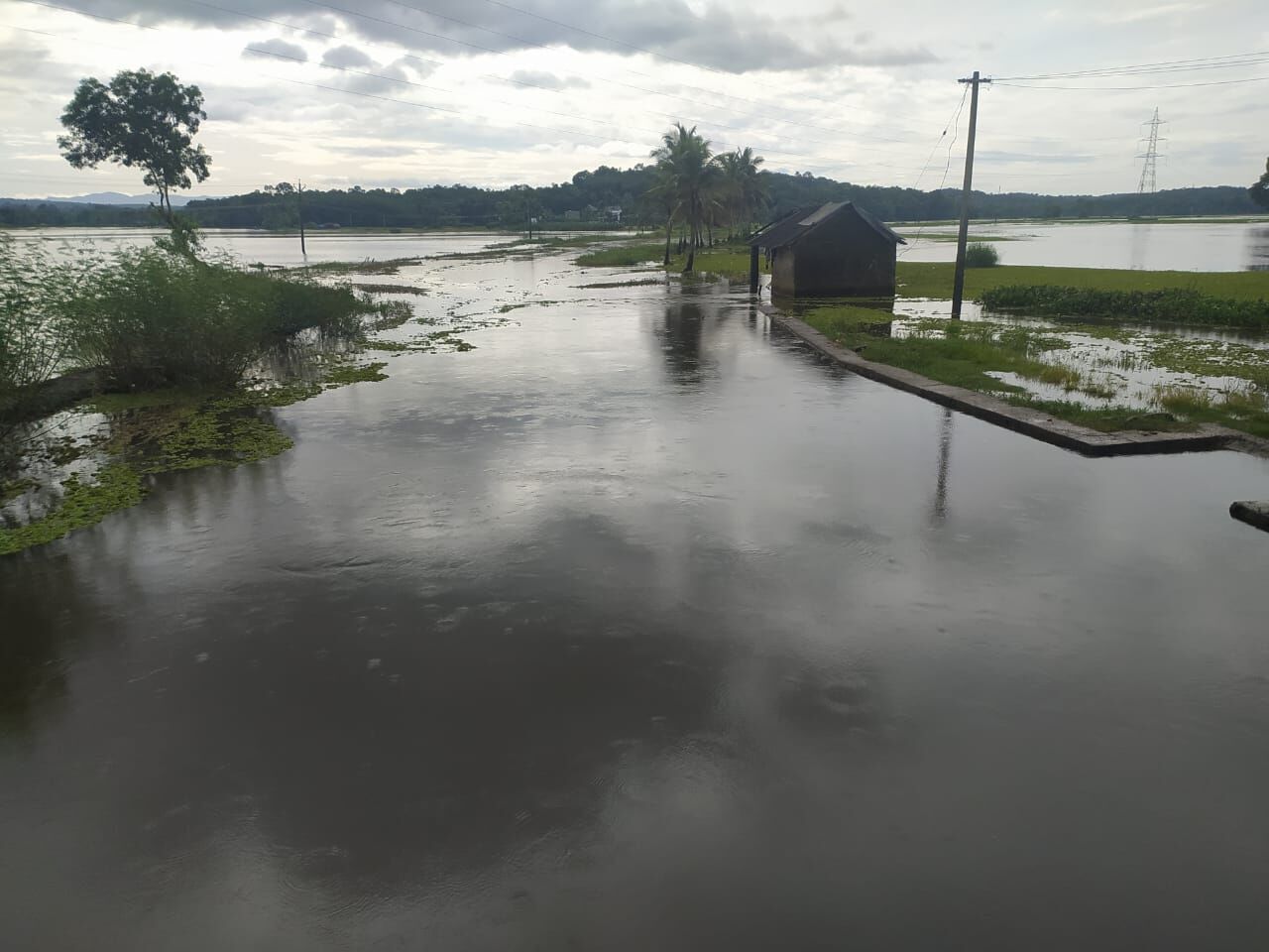 പുതുപ്പള്ളി മേഖലയിൽ വെള്ളം കയറിയപ്പോൾ