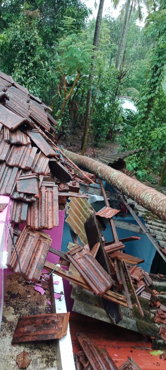 തെങ്ങ്​ കടപുഴകി വീണ്​ വീട്​ തകർന്നു